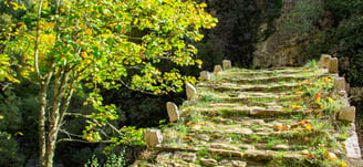 Stone bridges in Zagori