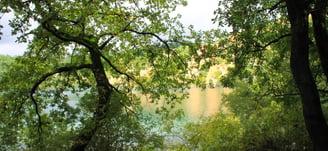 Lake Zirou view between the trees