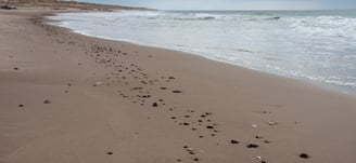 colorful stones by the shore