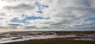 Marshland area in Nyord