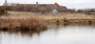 small pond view