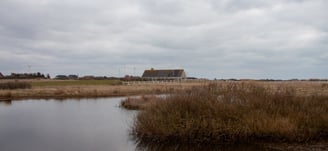 farmhouse pond view