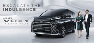 All New Voxy