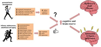 how exercise can confers brain resilience. Exercise positively influences brain and cognitive reserv