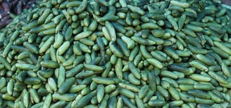 Ivy gourd vegetable Andhra cuisine
