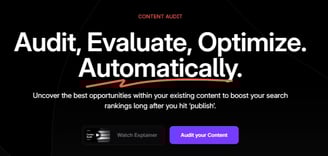 The Audit Tool