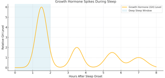 A graph of a Growth Hormone Spike During Sleep