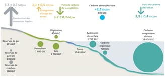 Illustration des principaux stocks et flux de carbone dans le monde