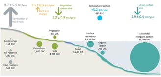 Illustration of the main global carbon stocks and fluxes