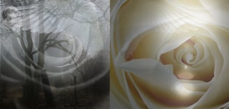 entry points into trauma work can be shadow or light