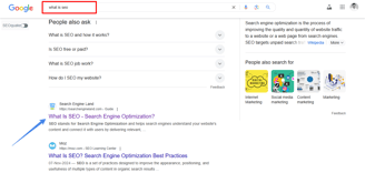 what is SEO google search
