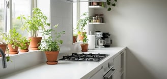 fourmis dans cuisines bordeaux