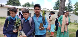 Best NGO for tree plantation