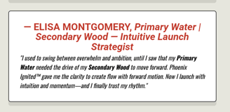 Testimonial for Water + Wood Archetype: A coach shares how they moved from emotional spiraling to strategic soul expansion.