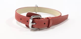 Collier de chien en cuir