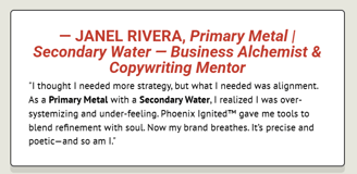 Testimonial from Business Alchemist and Copywriting  Mentor realizing the need more alignment not strategy, Metal Archetype