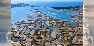 voyager à guérande et visiter les marais salants