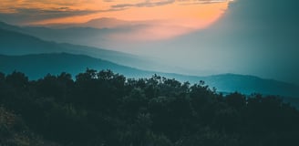 Alger, nature, montagne