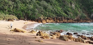 Pokohino Beach