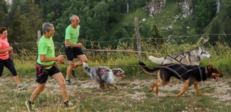 Parcours du canitrail du trail des sangliers de pontarlier