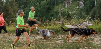 Parcours du canitrail du trail des sangliers de pontarlier