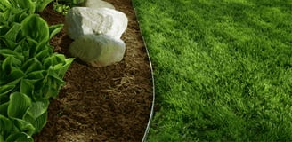 fresh landscape edging