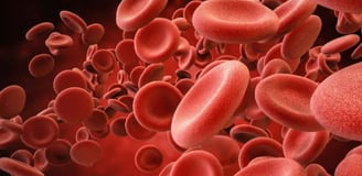 hmeglobina hemacias sangue spass