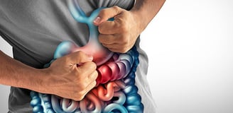 Fibra para o intestino