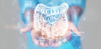 mudanças na flora intestinal