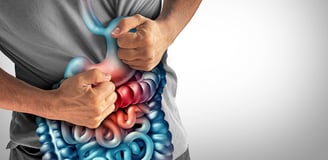 Intestino preso