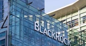 BlackRock's Strategic Bet on Swan Energy: Unveiling a Midcap Powerhouse