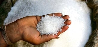 India’s Sugar Production Takes a Hit: What It Means for Prices and Supply