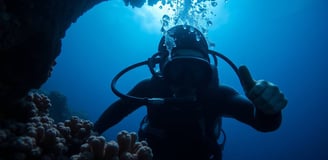 a person in a scuba suit is diving in the water