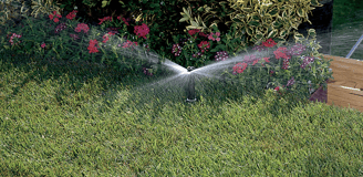 irrigation head spraying water