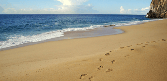 lovers beach cabo san lucas