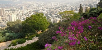 Vista da cidade de Haifa do Monte Carmelo.