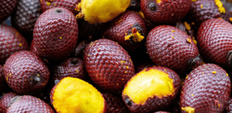 Le fruit du buriti, avec une chair jaune et une coque rouge