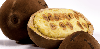Le fruit du cupuaçu, avec une chair jaune et une coque marron