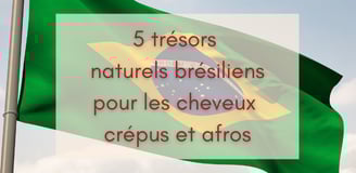 5 trésors naturels brésiliens pour les cheveux crépus et afros