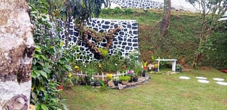 Garden at Nobel Bungalow Nuwara Eliya with Keena plant, flower beds, bench, and decorative pond