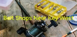 best-bait-and-tackle-shop-in-key-west