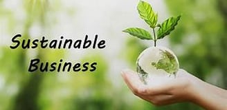 Sustainable business