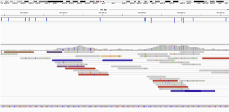 Discordant Reads visualized in IGV