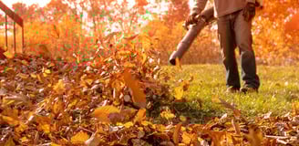 a man is using a leaf blower to clean the leaves