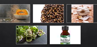 Herbal Warriors Against Parasites