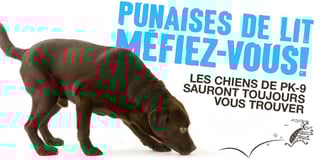 Punaises de lit Méfiez Vous ! Les chiens de PK-9 sauront toujours vous trouver