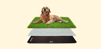 a dog laying on a grass covered field