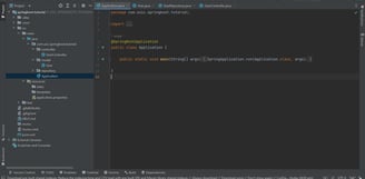 Spring boot project Application class open in Intellij IDEA