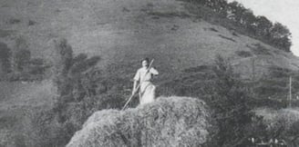 Le travail aux champs, charrette emplie de foin tirée par des chevaux,