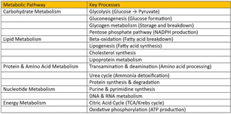 Types of metabolic pathways
